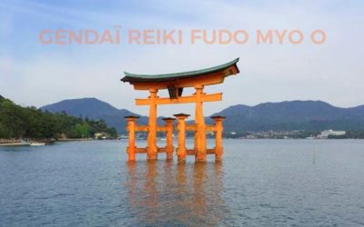 Le Reiki pour les professionnels à bout de souffle : Détox.